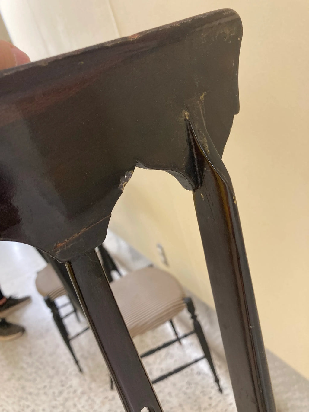 Mid-20th Century Gio Ponti Style Italian Chiavari Chairs in Ebonized Beechwood Attributed to Guido Chiappe for S. A. C. - Set of Five