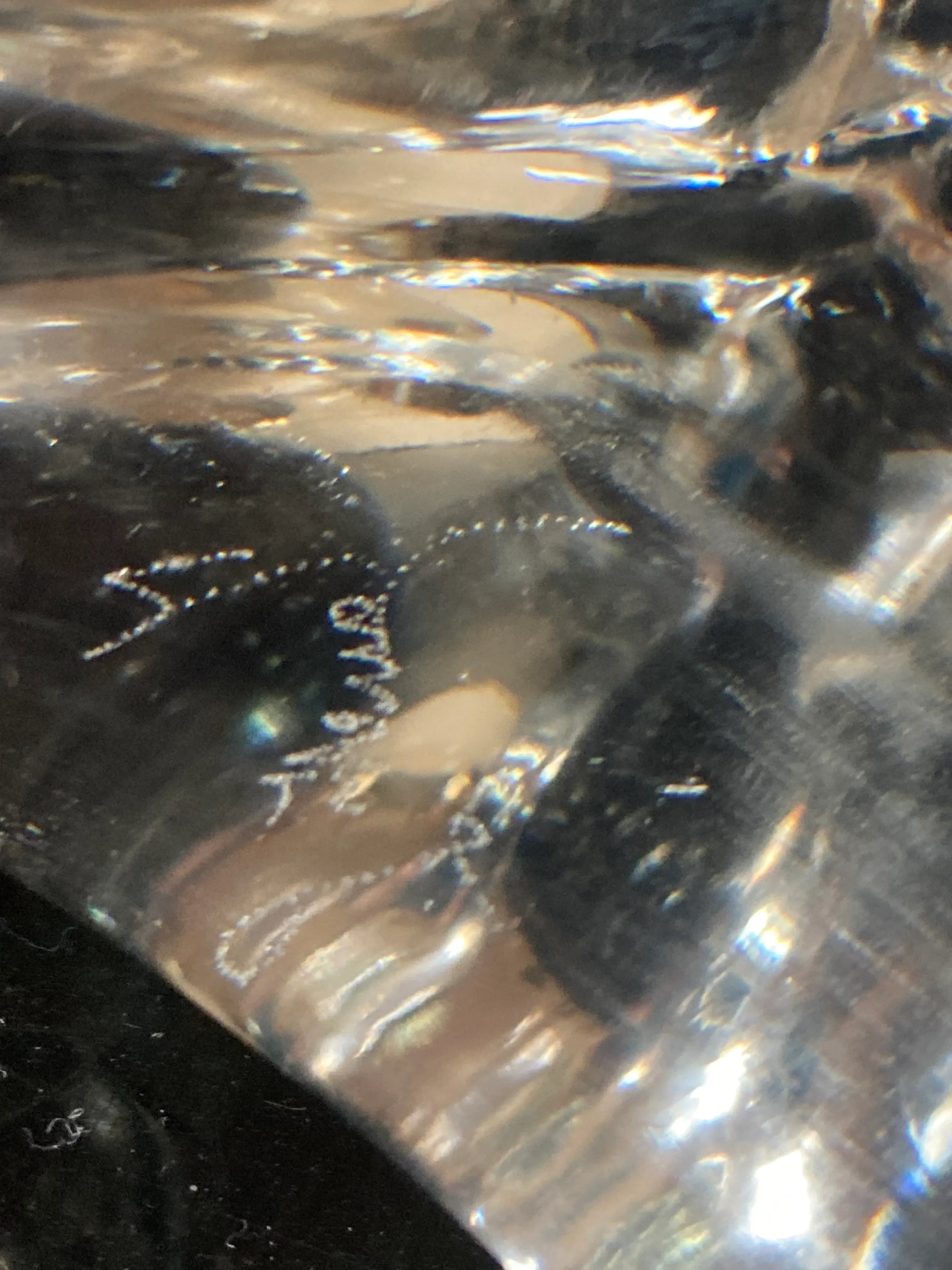 Mid-20th Century Lício Zanetti Murano Glass Angel Fish Sculpture